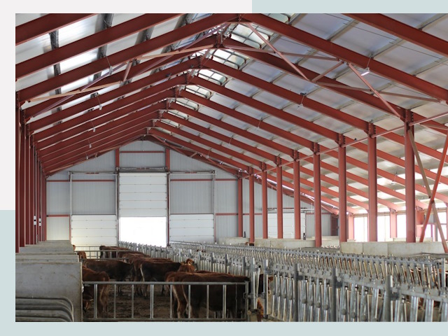 Строительство коровников в Сургуте