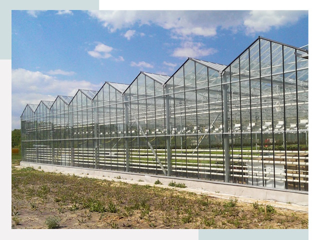 Строительство теплиц в Сургут от 613 руб. за м²